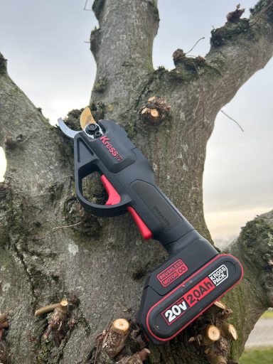 Kress 20 V 25 mm snoerloze snoeischaar. Leiboom gesnoeid door Accugroen Venray